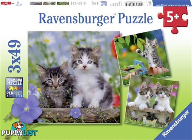 Ravensburger - Kittens Jigsaw Puzzle 3 X 49pc - Mdrb080465 - 4005556080465