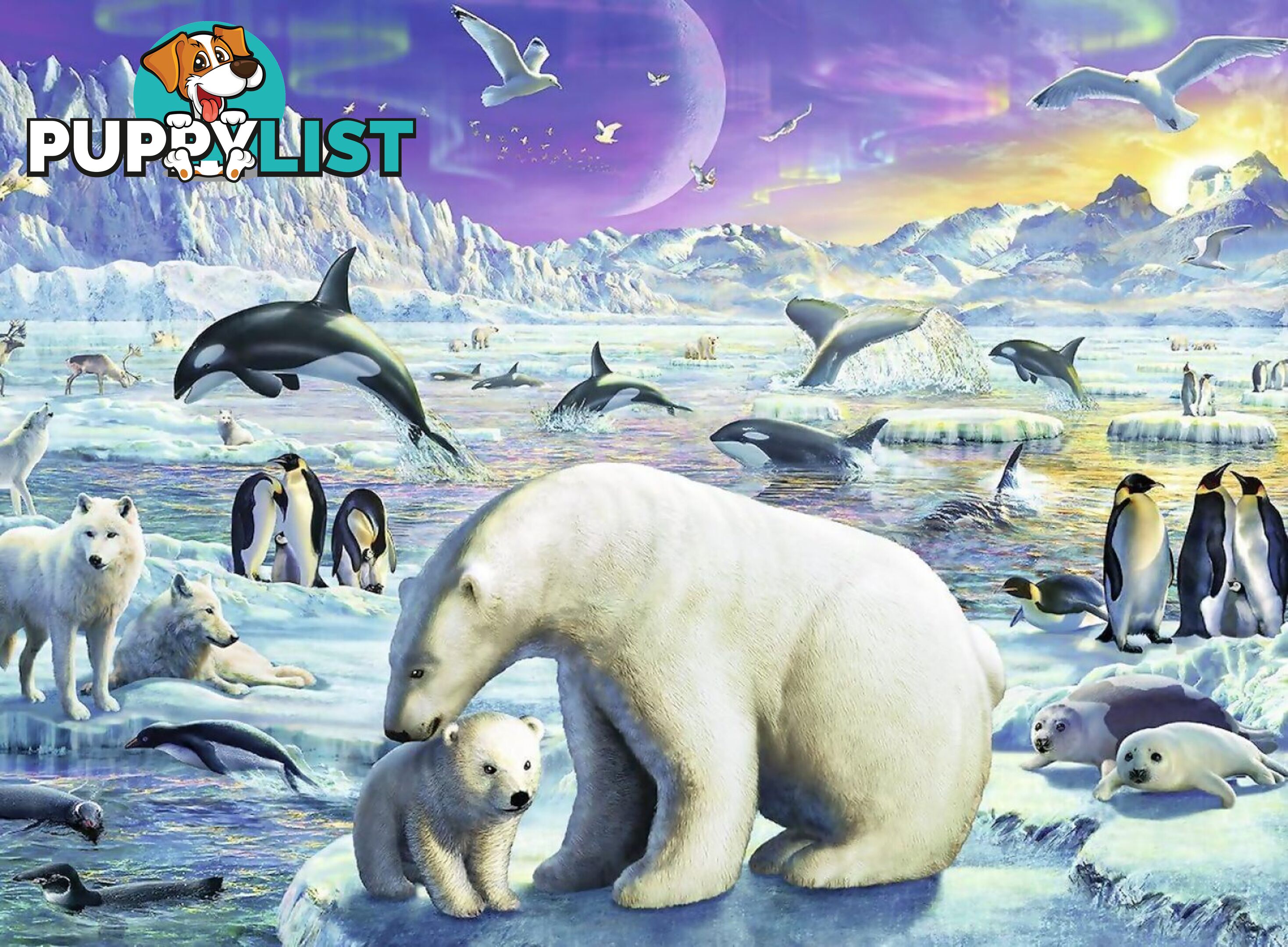 Ravensburger - Meet The Polar Animals Jigsaw Puzzle 300pc - Mdrb13203 - 4005556132034