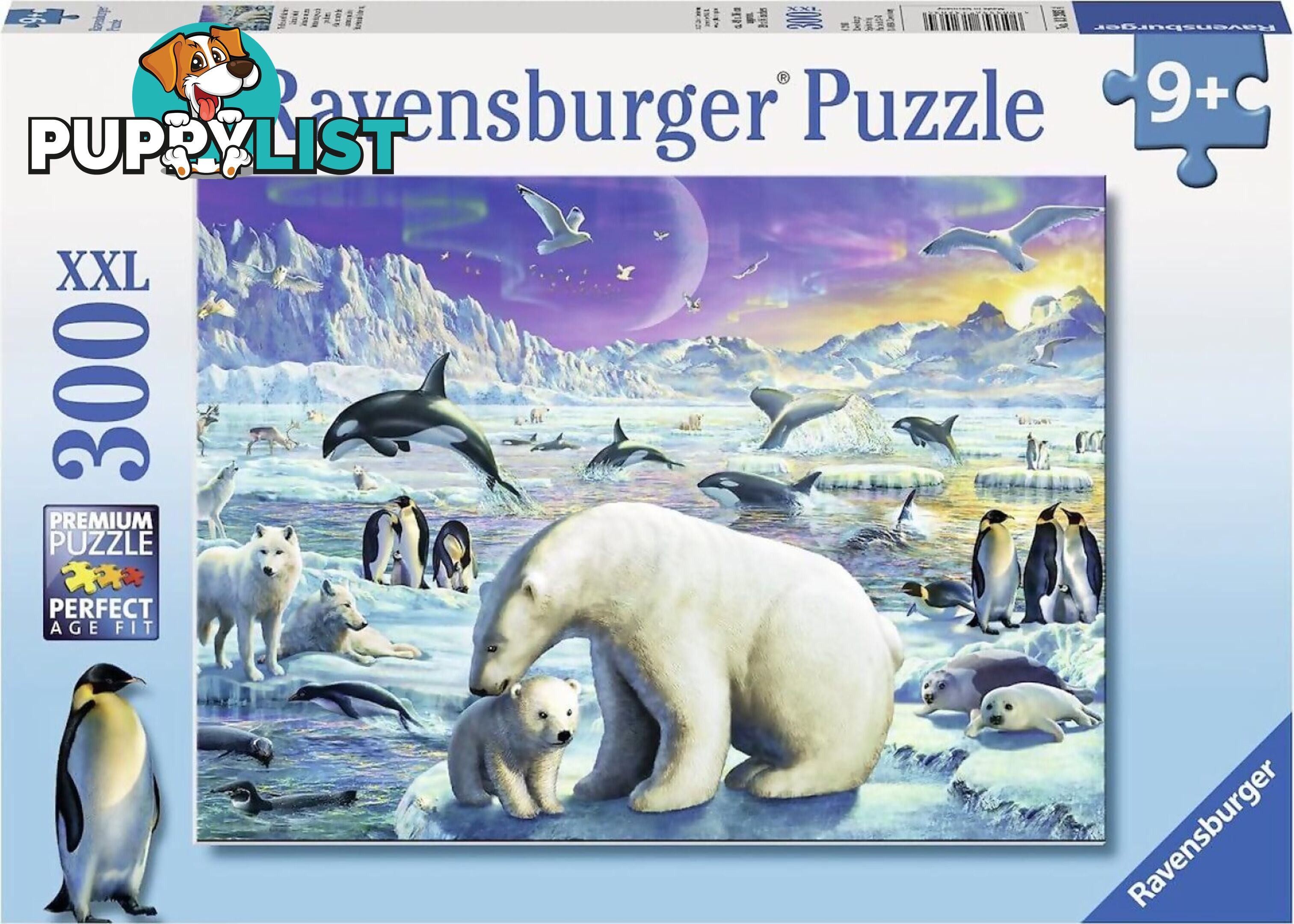 Ravensburger - Meet The Polar Animals Jigsaw Puzzle 300pc - Mdrb13203 - 4005556132034