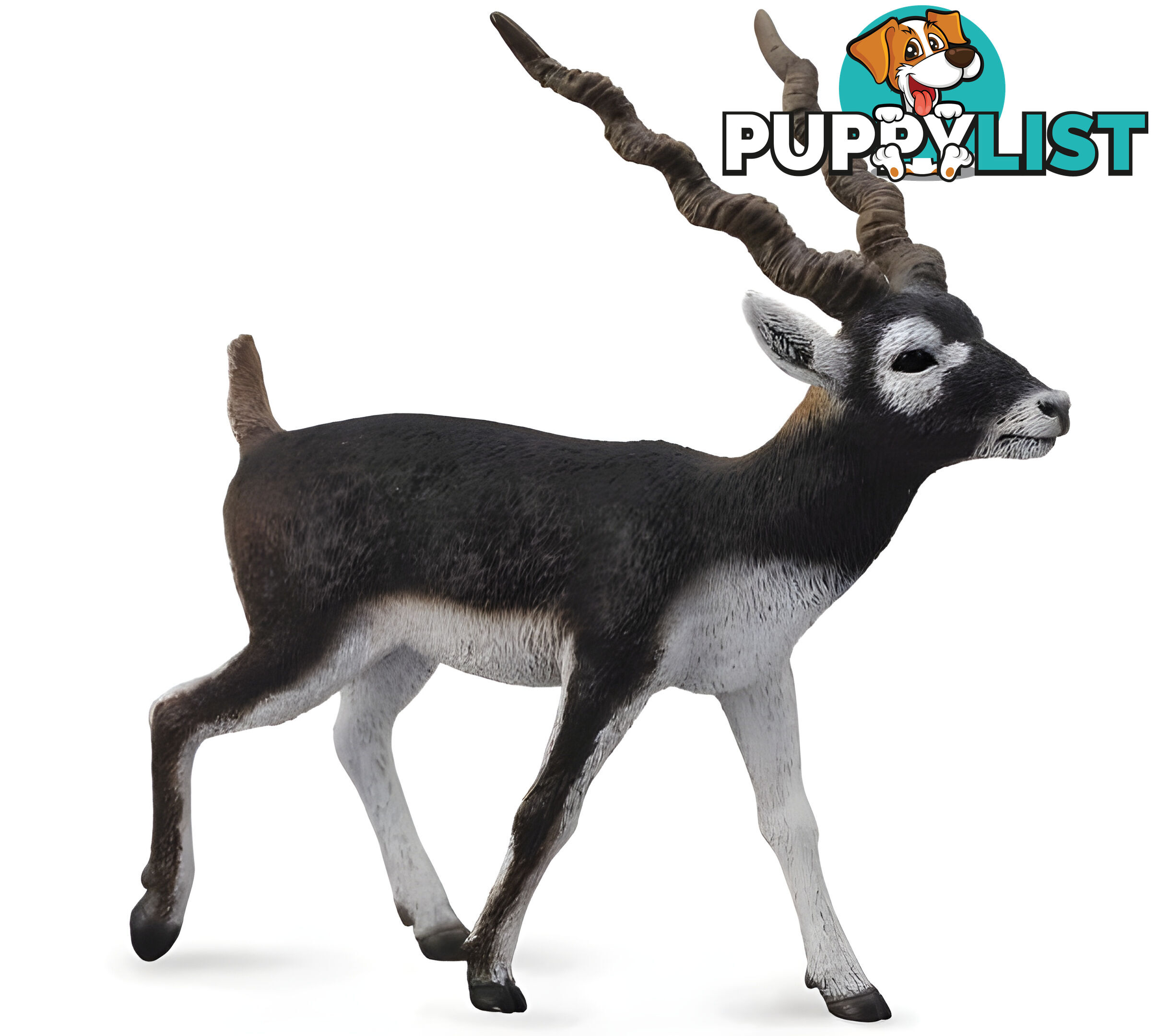 CollectA - Blackbuck Large Animal Figurine - Rpco88638 - 4892900886381