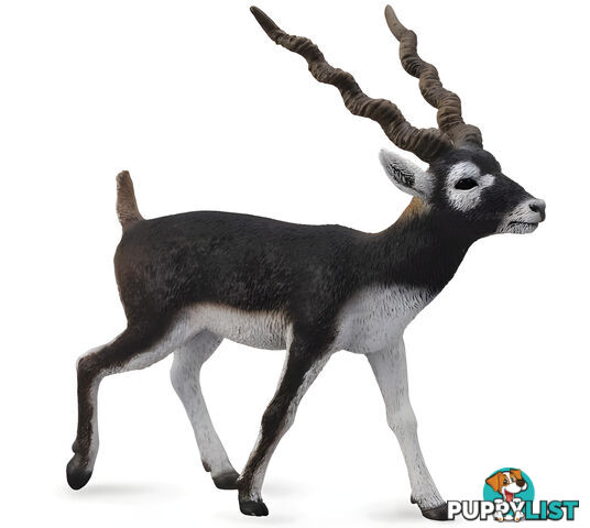 CollectA - Blackbuck Large Animal Figurine - Rpco88638 - 4892900886381