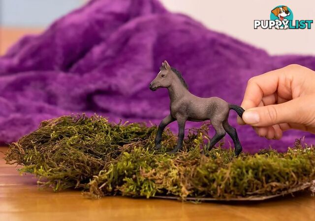 Schleich - Peruvian Paso Foal - Mdsc13954 - 4059433668956