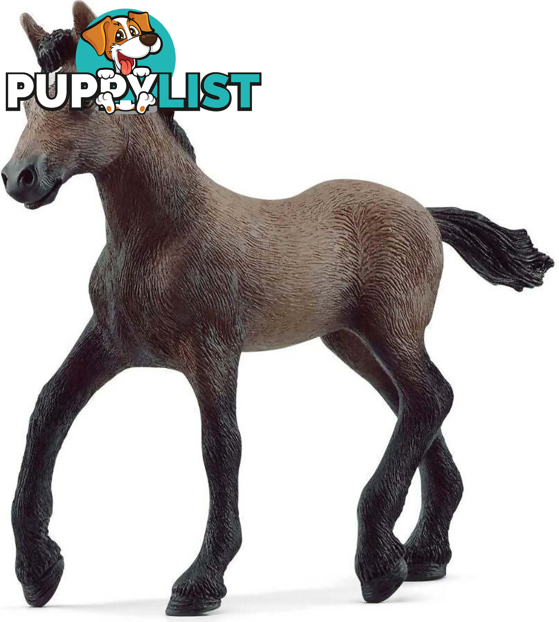 Schleich - Peruvian Paso Foal - Mdsc13954 - 4059433668956