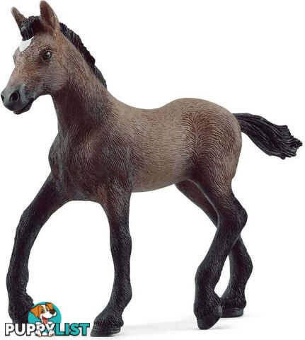 Schleich - Peruvian Paso Foal - Mdsc13954 - 4059433668956