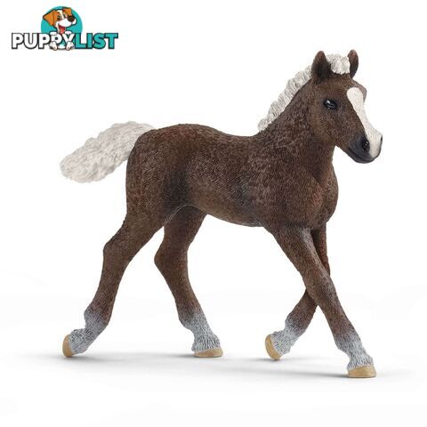 Schleich - Black Forest Foal  Farm World Animal Figurine Sc13899 - 4059433039589