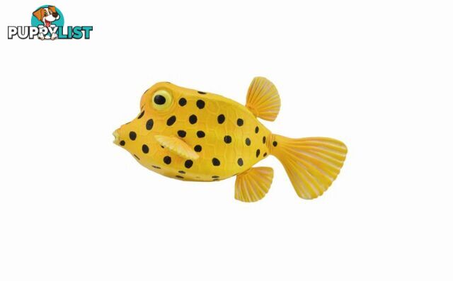 CollectA Boxfish Small Animal Figurine - Rpco88788 - 4892900887883