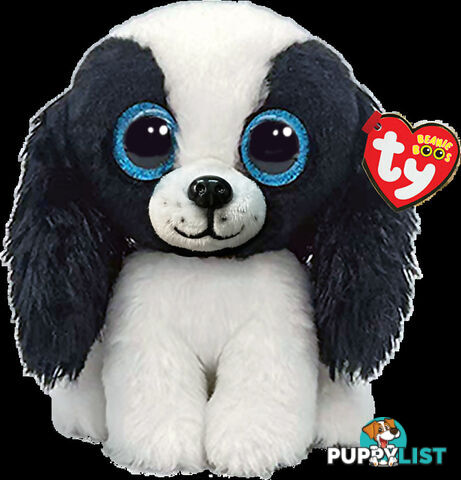 Ty - Beanie Boos - Sissy Black And White Dog Small 15cm - Bg36570 - 008421365708