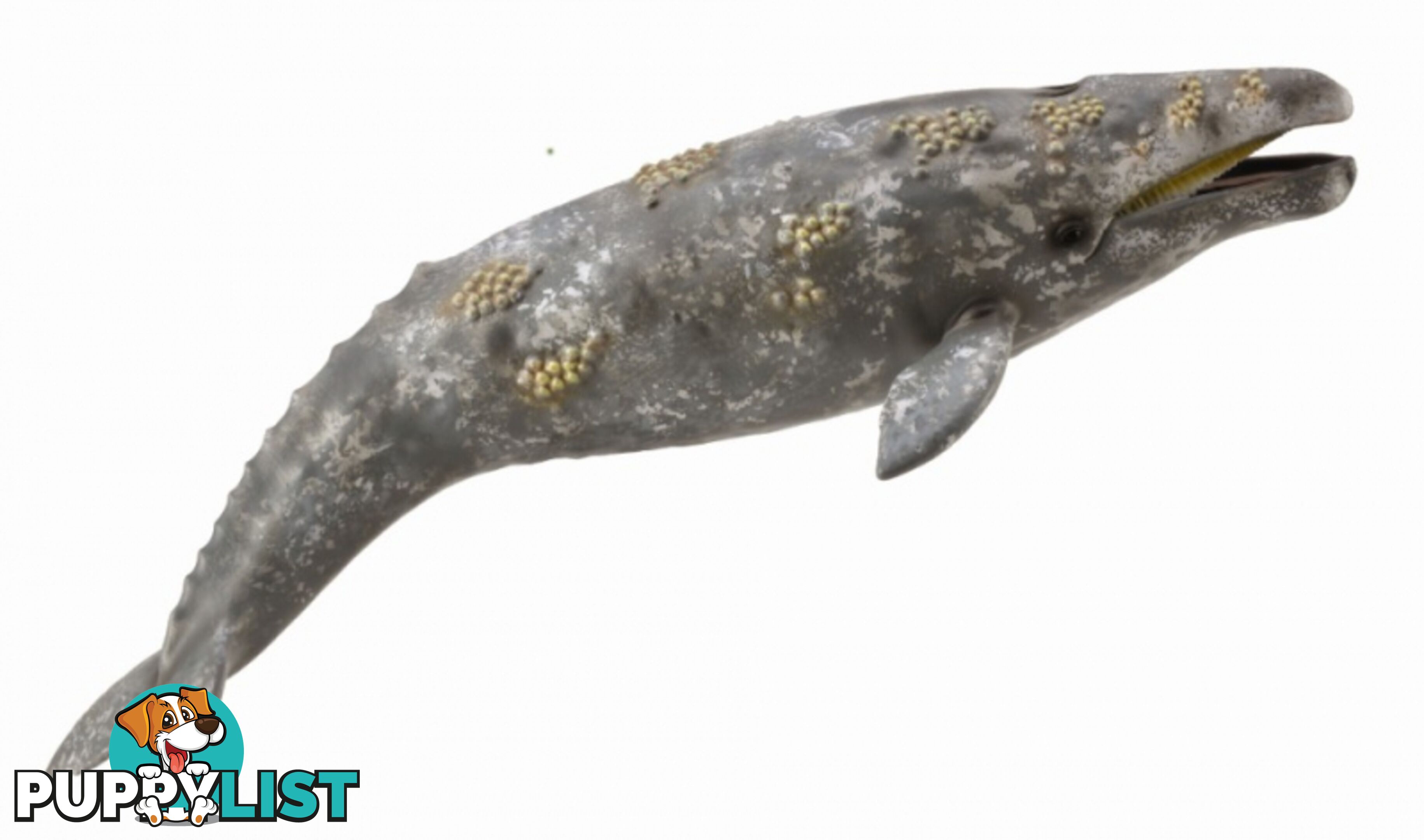 CollectA Gray Whale Extra Large Animal Figurine - Rpco88836 - 4892900888361