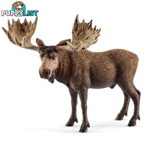 Schleich - Moose Bull Sc14781 - 4055744012747