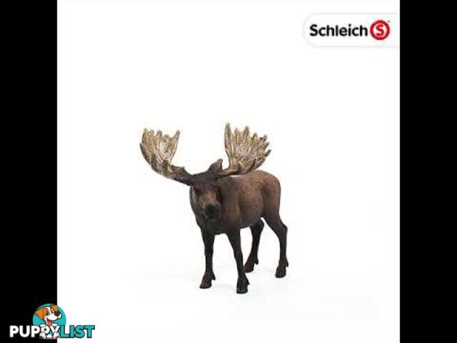 Schleich - Moose Bull Sc14781 - 4055744012747