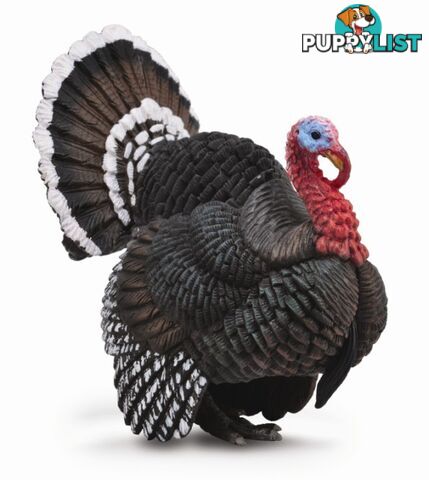 CollectA Turkey Large Animal Figurine - Rpco88762 - 4892900887623