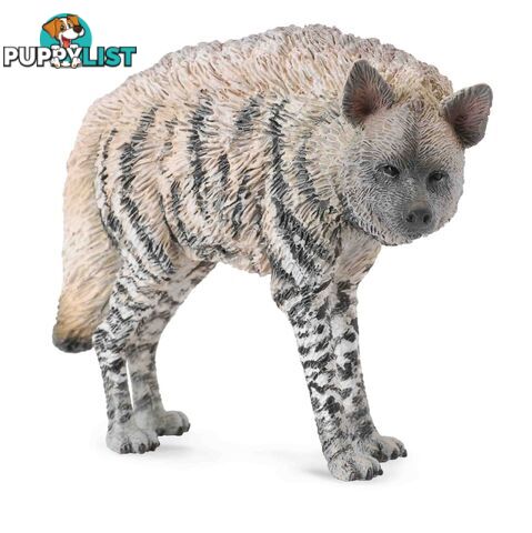 CollectA Striped Hyena Medium Animal Figurine - Rpco88566 - 4892900885667