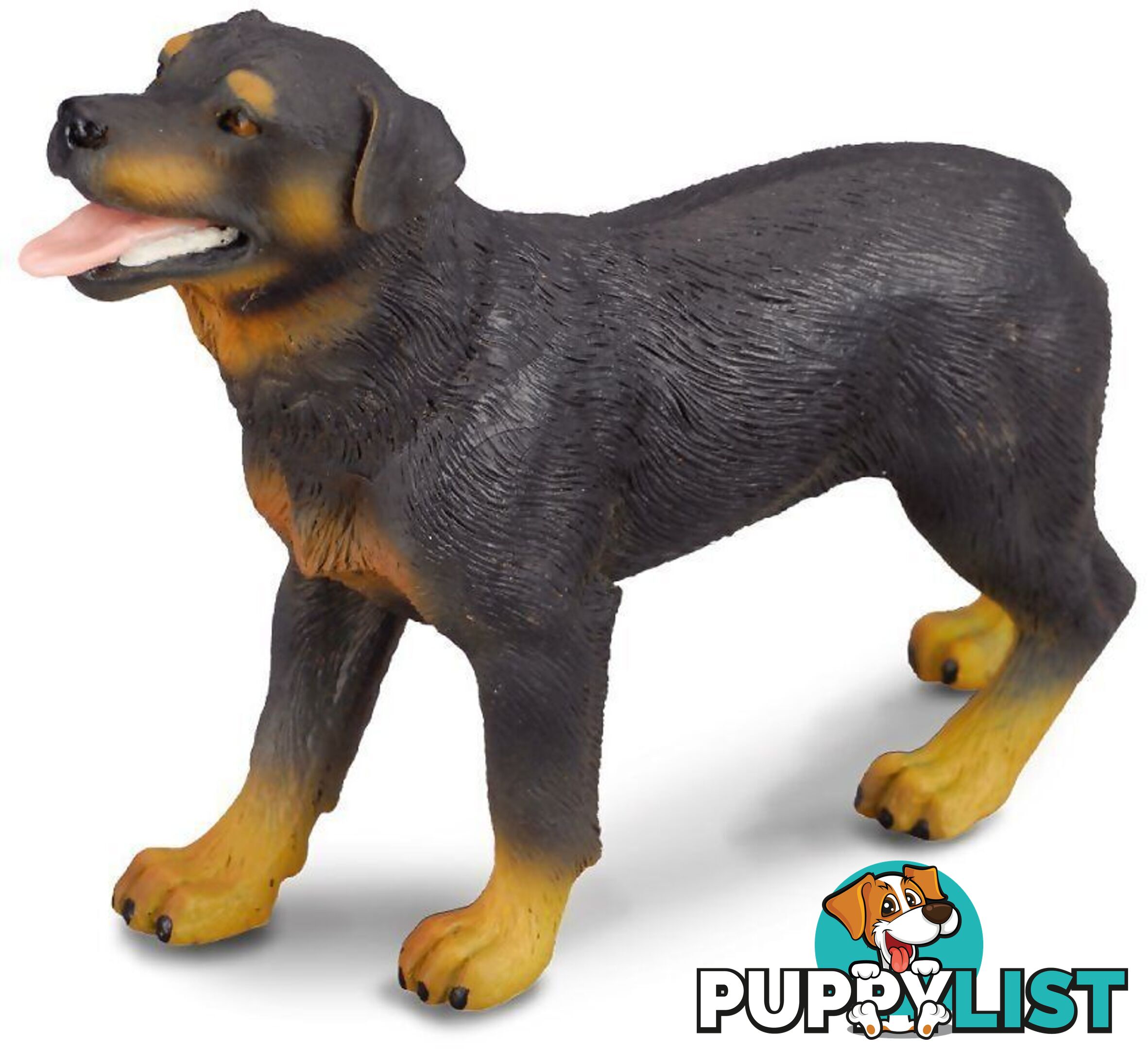 CollectA - Rottweiler Dog Large Figurine - Rpco88189 - 4892900881898