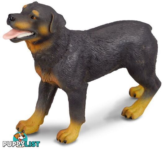 CollectA - Rottweiler Dog Large Figurine - Rpco88189 - 4892900881898