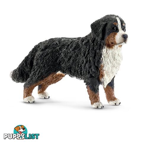 Schleich - Bernese Mountain Dog Sc16397 - 4005086163973