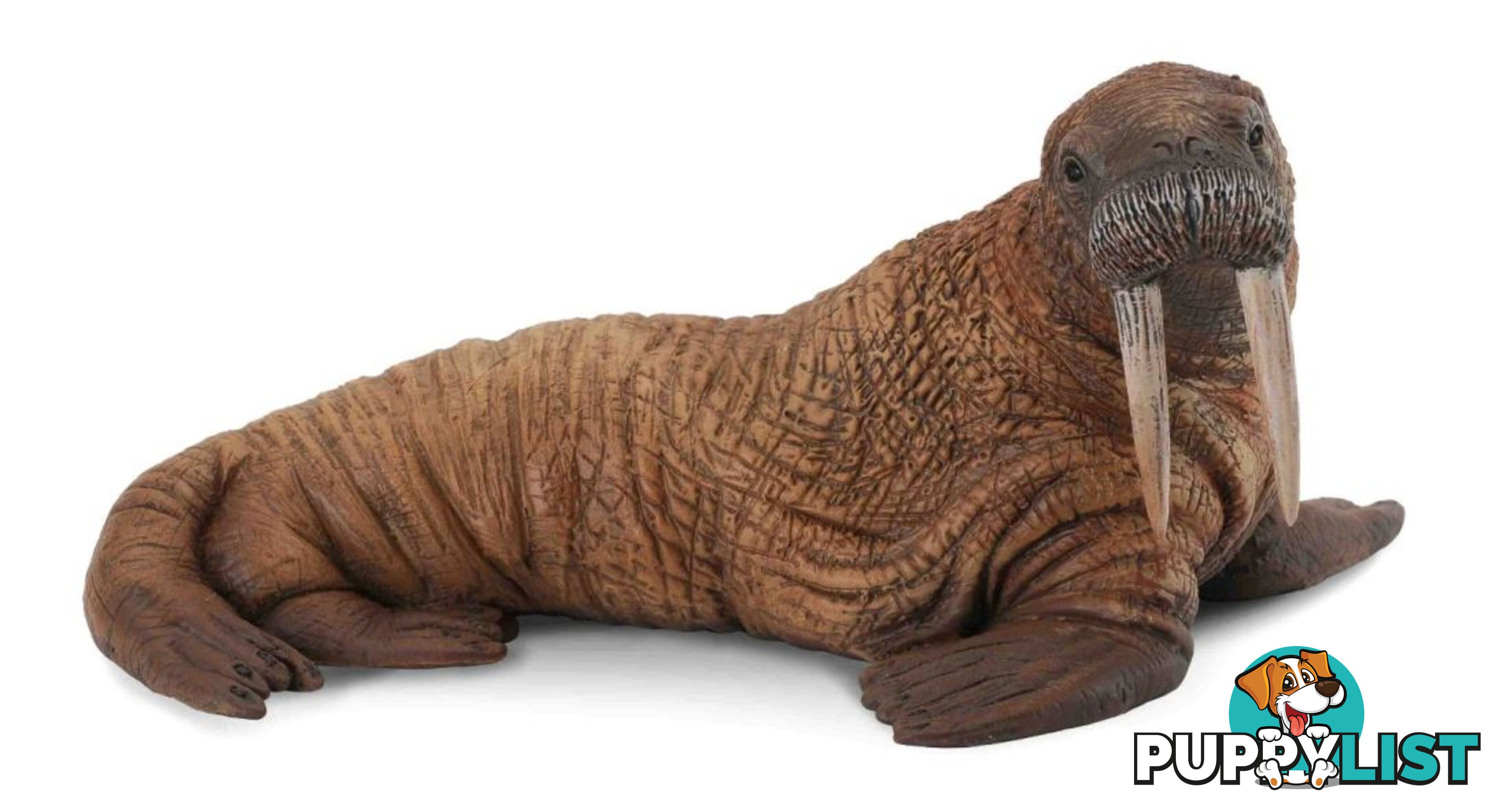 CollectA Walrus Large Ocean Animal Figurine - Rpco88569 - 4892900885698