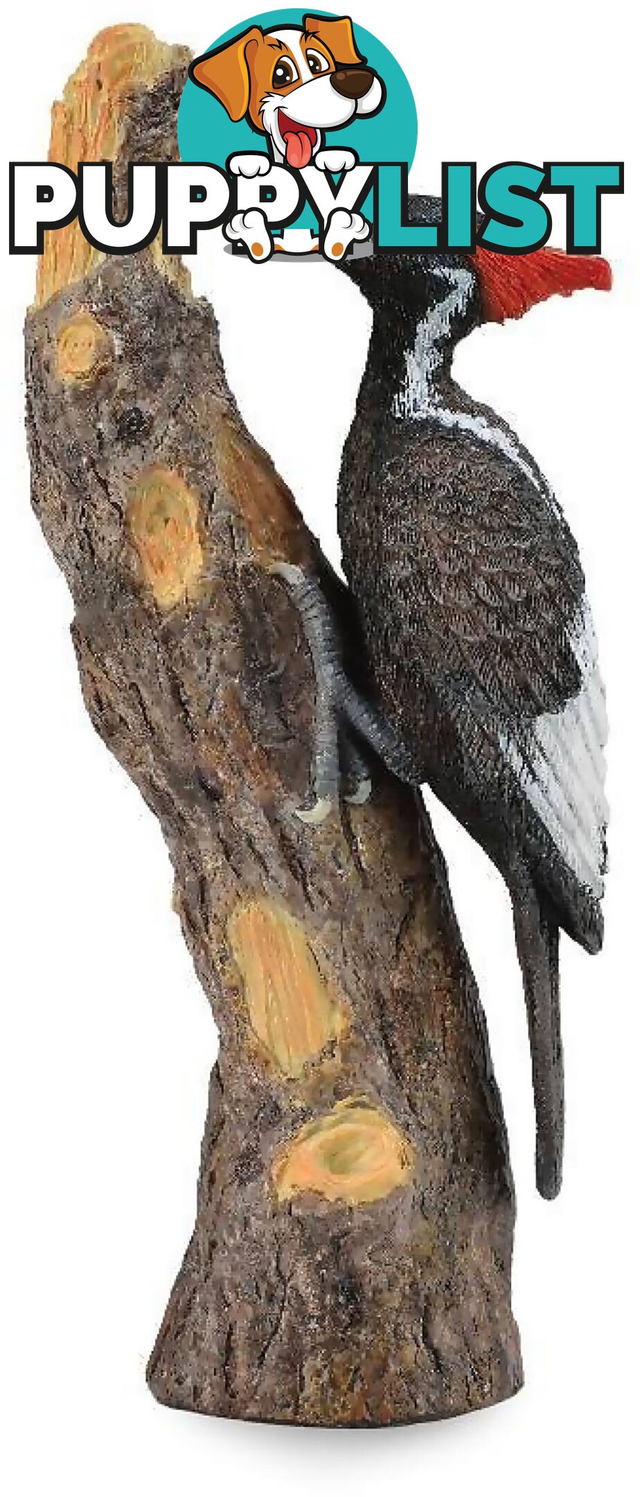 CollectA - Ivory Billed Woodpecker Bird Figurine - Rpco88802 - 4892900888026