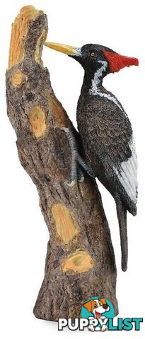 CollectA - Ivory Billed Woodpecker Bird Figurine - Rpco88802 - 4892900888026