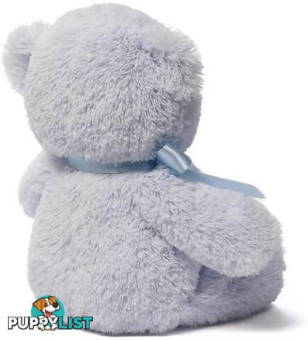 My First Teddy - Blue Plush Soft Toy Bear 25cm - Jsu4043950 - 028399065608