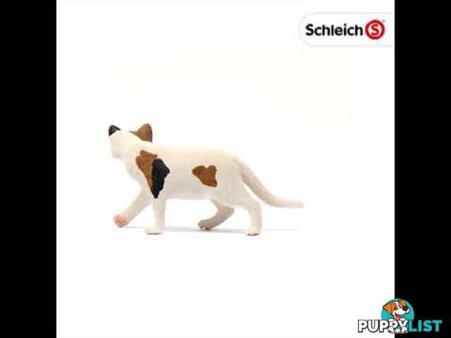 Schleich - American Shorthair Cat Sc13894 - 4059433012902