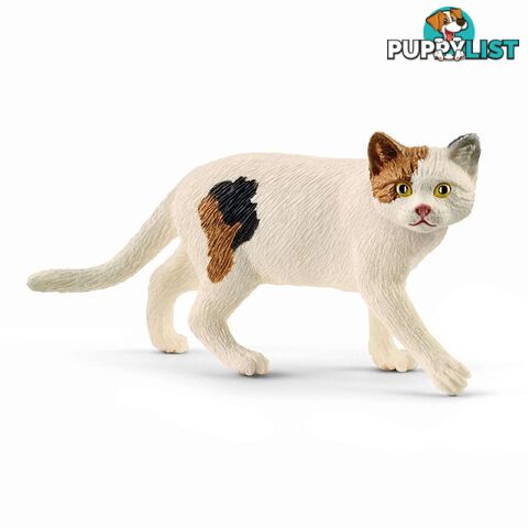 Schleich - American Shorthair Cat Sc13894 - 4059433012902