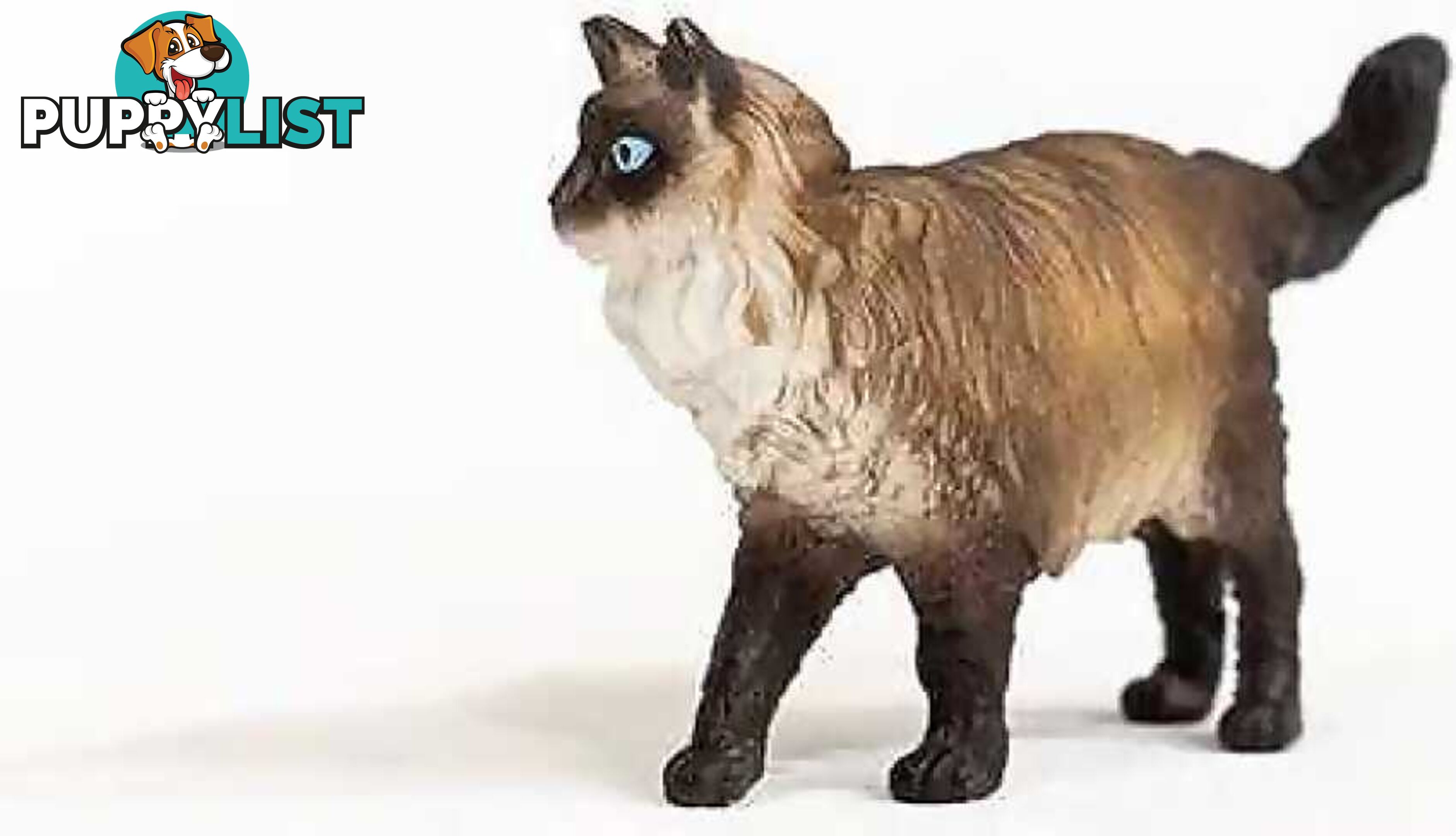 Schleich - Ragdoll Cat - Mdsc13940 - 4059433363226