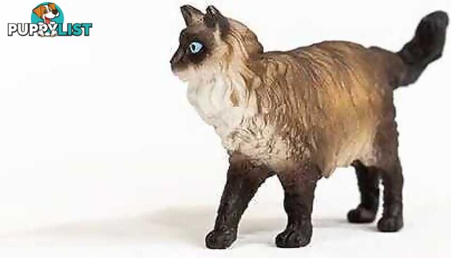 Schleich - Ragdoll Cat - Mdsc13940 - 4059433363226