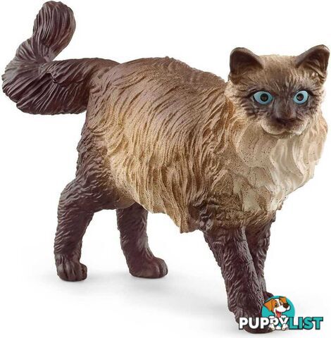 Schleich - Ragdoll Cat - Mdsc13940 - 4059433363226