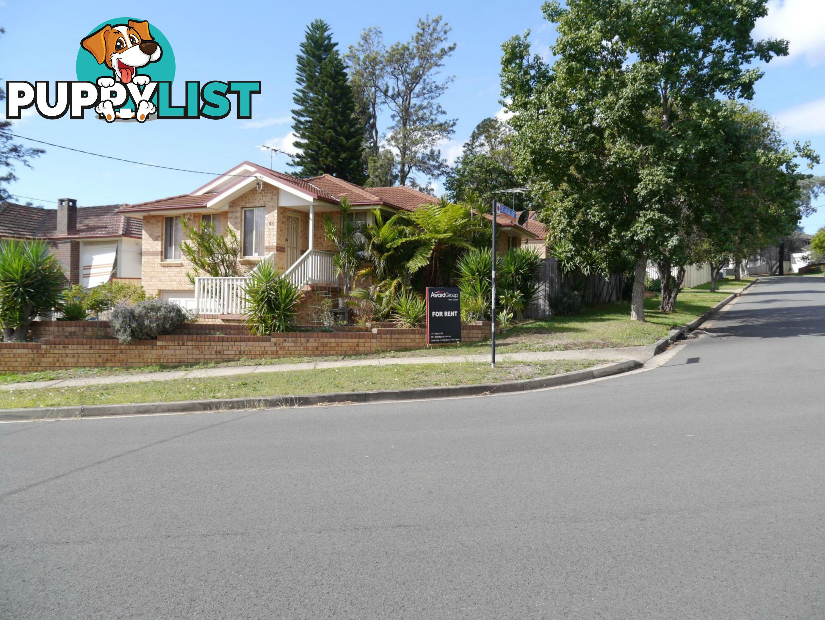 62 Stevens Street ERMINGTON NSW 2115