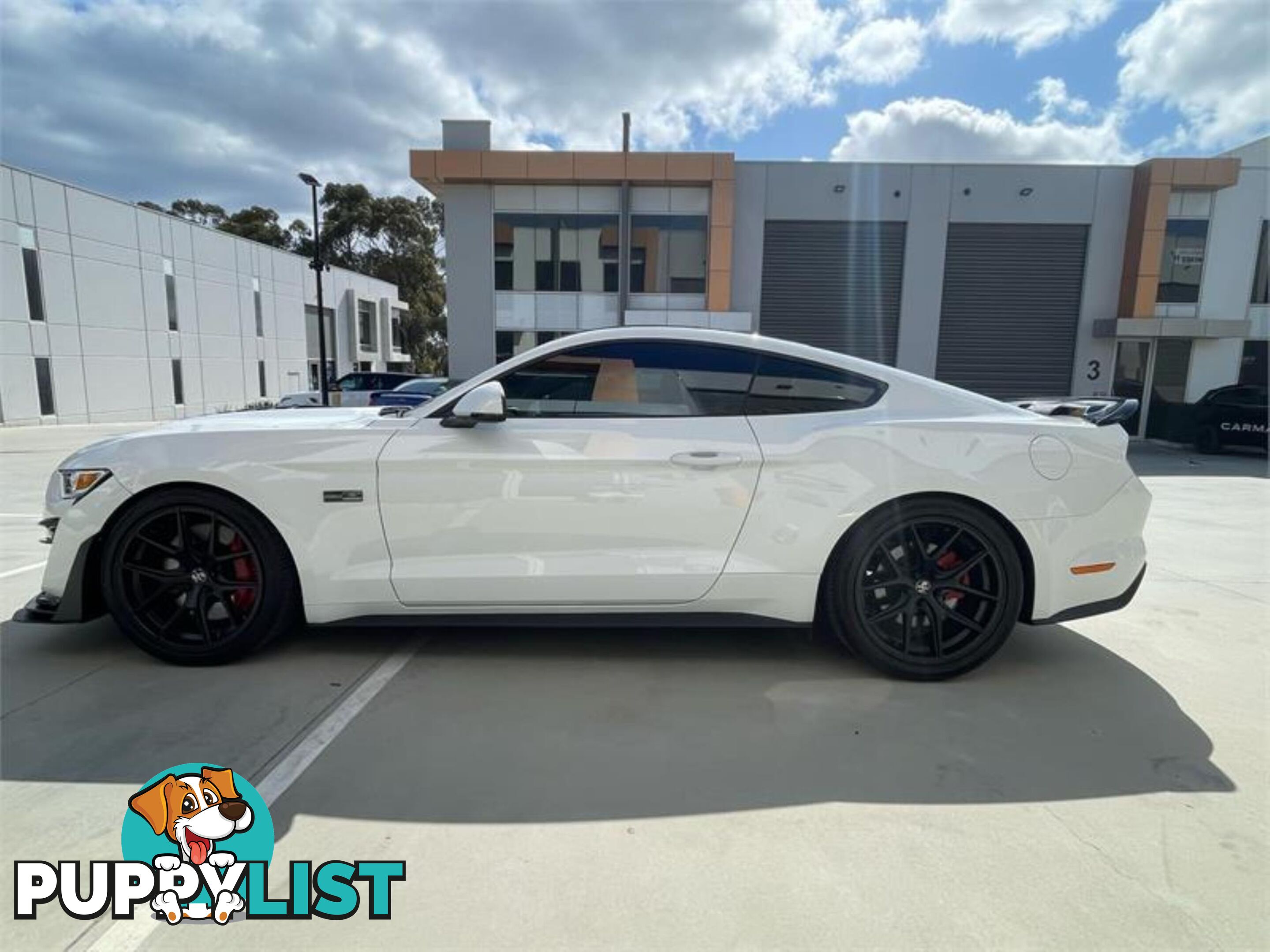 2017 FORD MUSTANG GT FM2017MY FASTBACK - COUPE