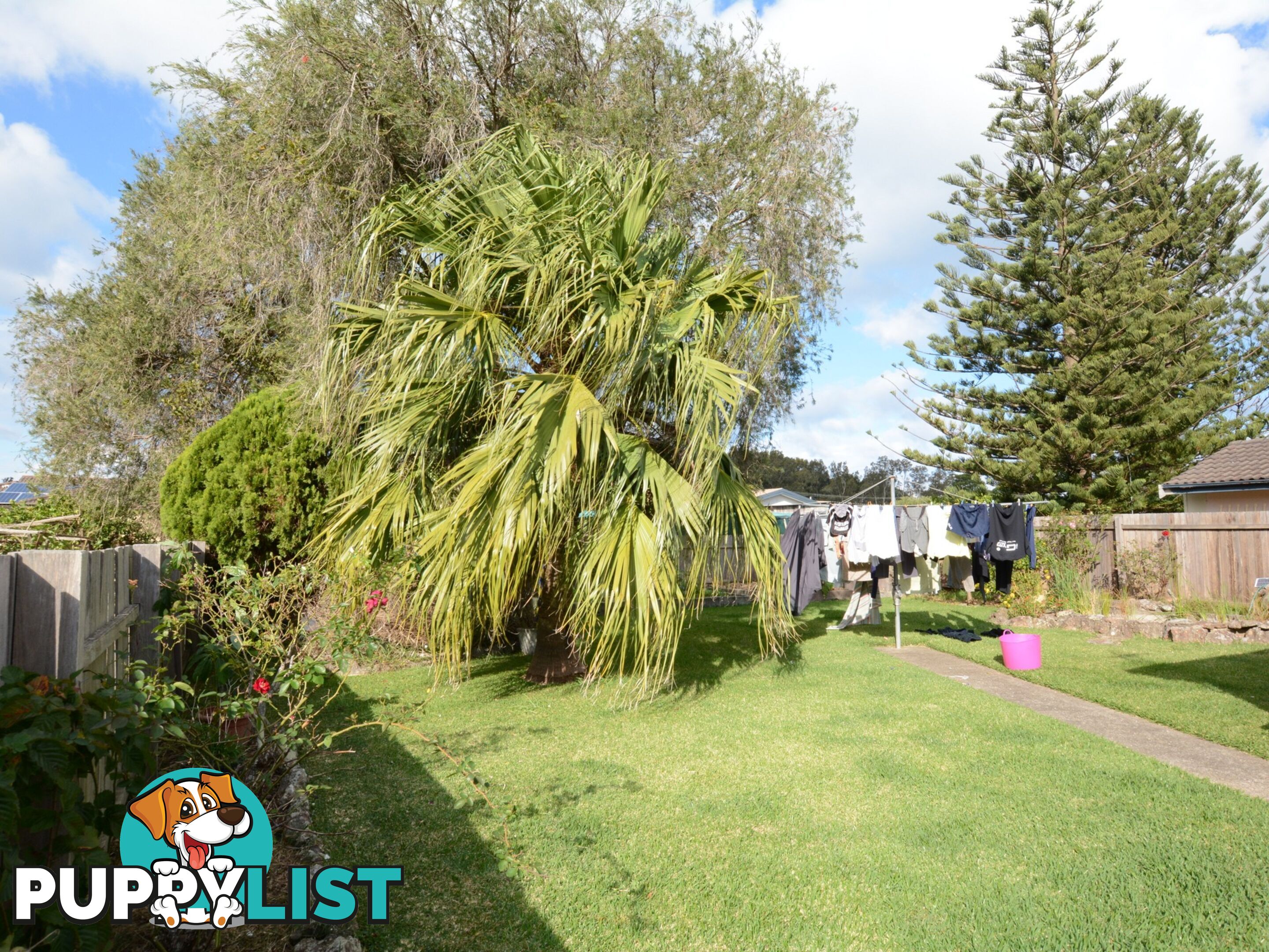 24 Waterman Street OLD BAR NSW 2430