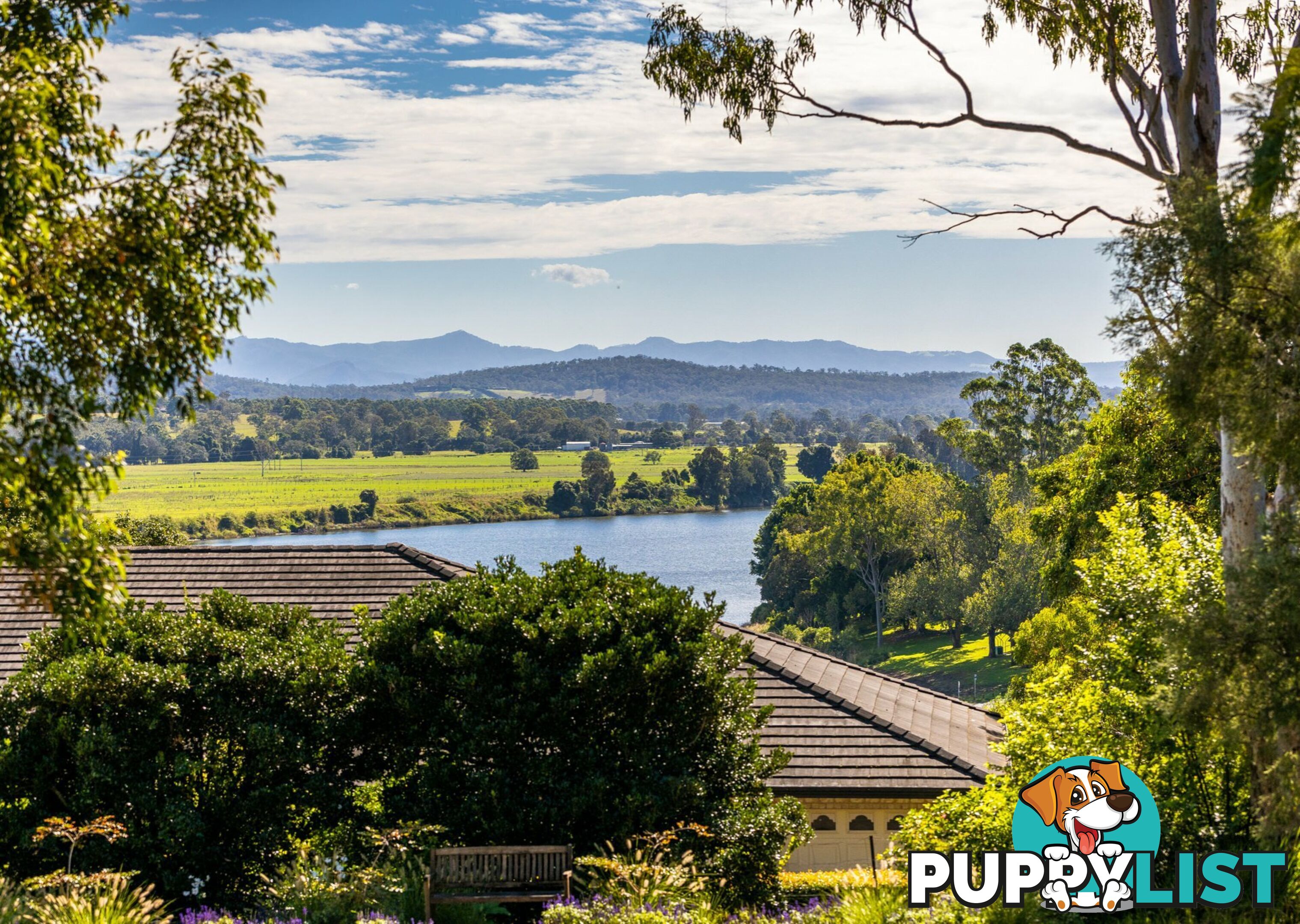 4 Washington Street TINONEE NSW 2430