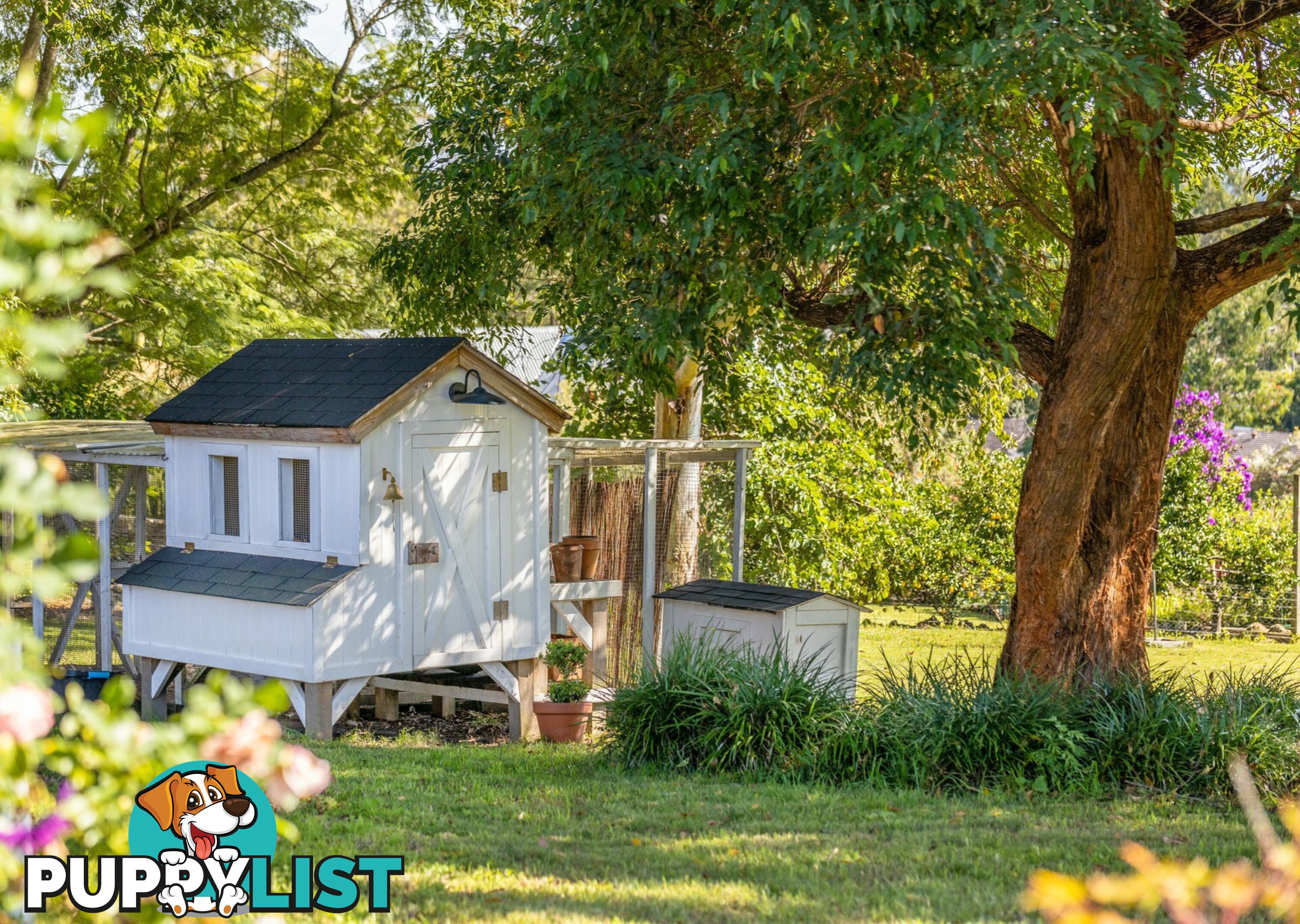 4 Washington Street TINONEE NSW 2430
