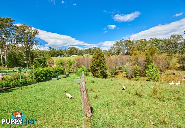 9 Wynters Road BURRELL CREEK NSW 2429