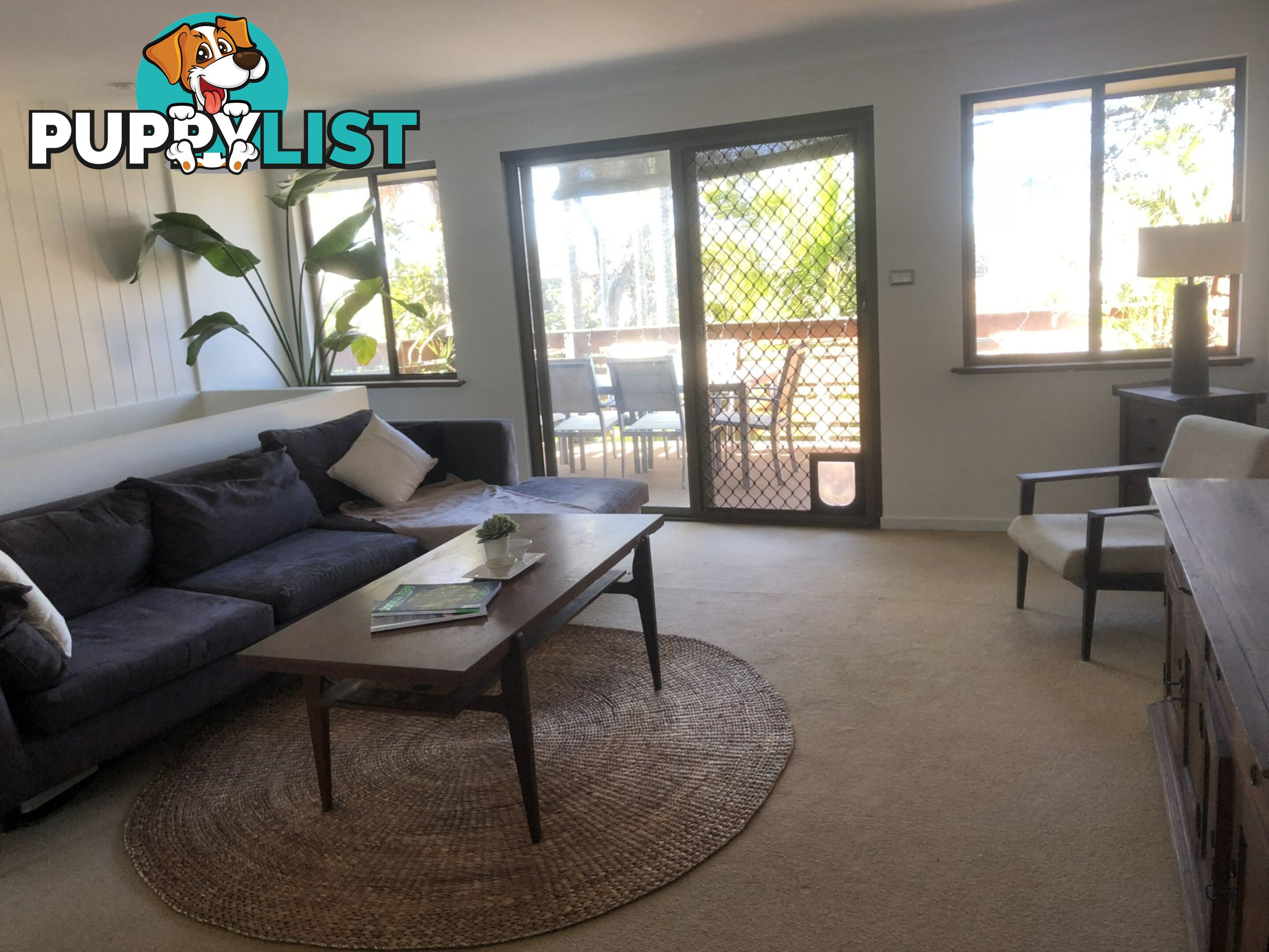 41 Ocean Drive WALLABI POINT NSW 2430