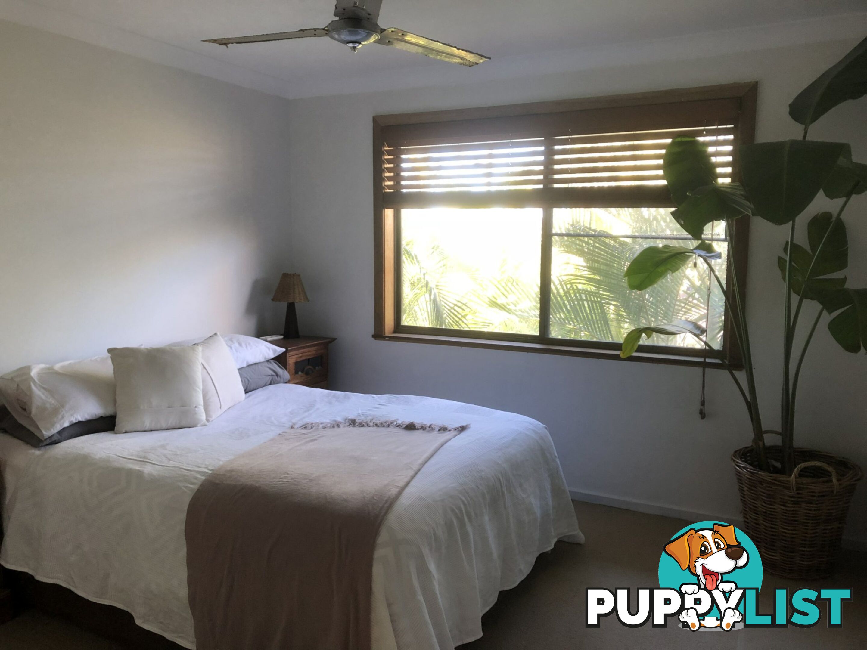 41 Ocean Drive WALLABI POINT NSW 2430