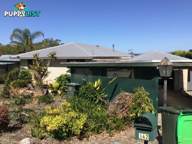 142 Wingham Road TAREE NSW 2430