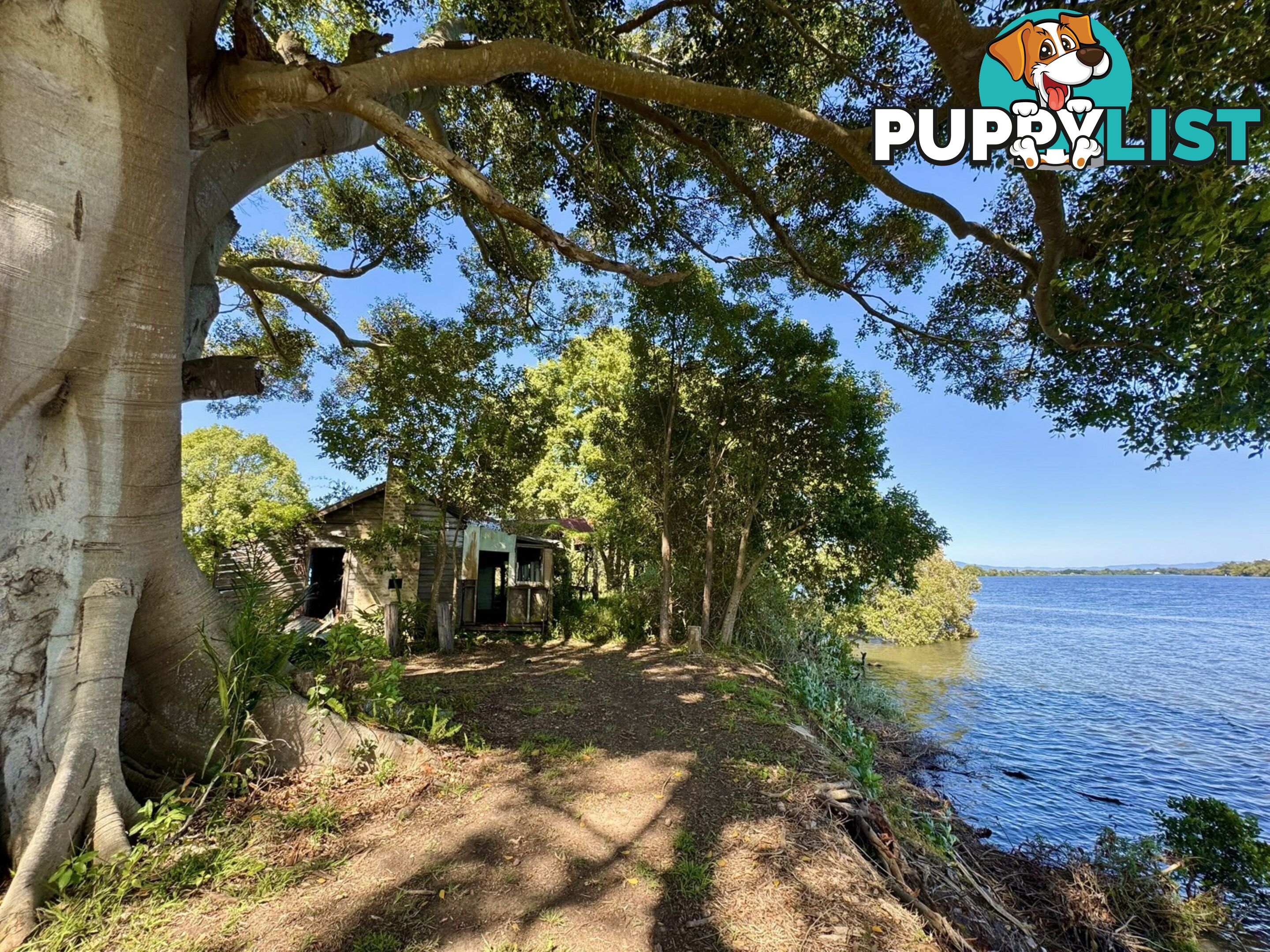 Lot 7 DP1297305 Ferry Road OXLEY ISLAND NSW 2430