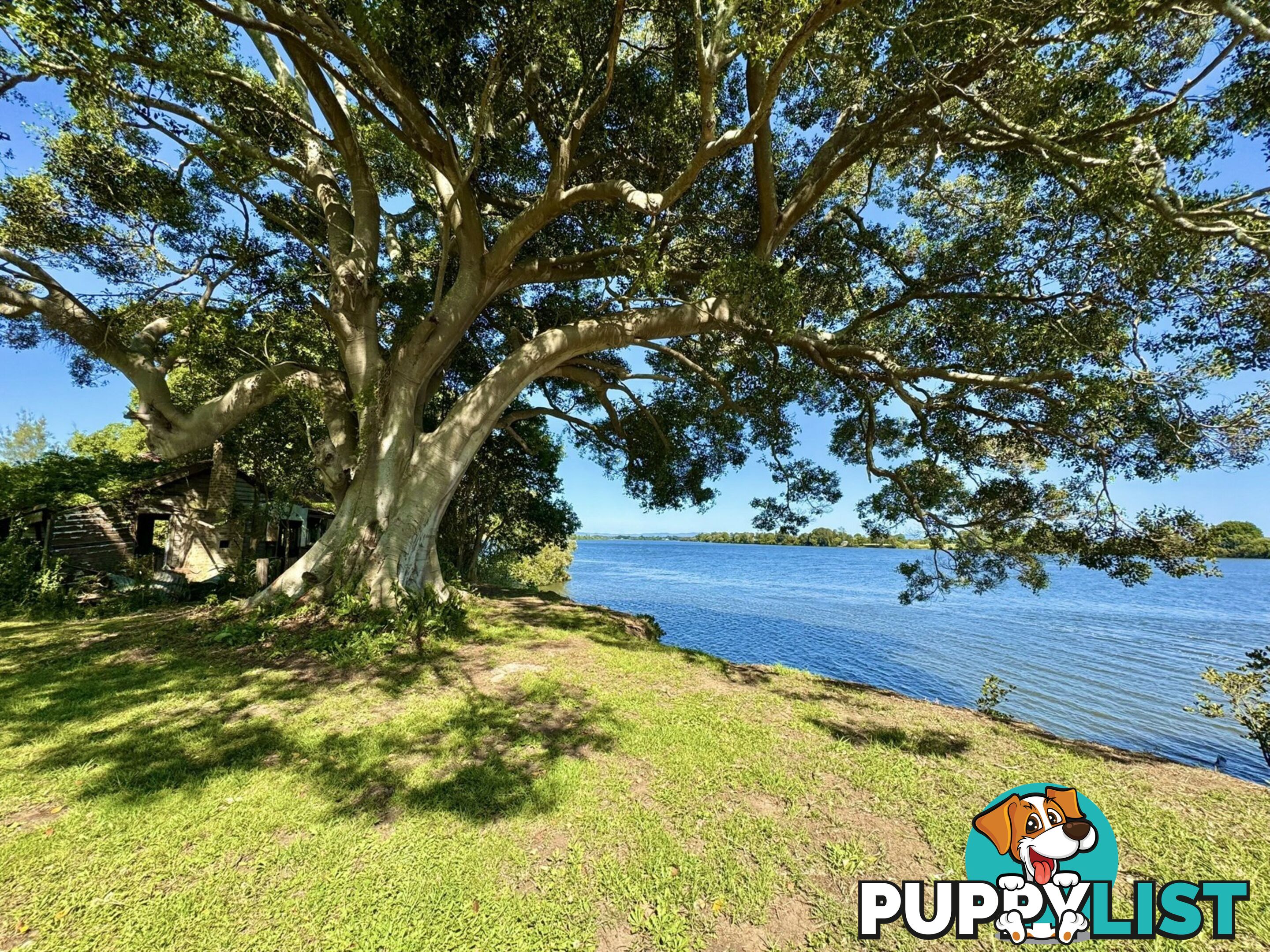 Lot 7 DP1297305 Ferry Road OXLEY ISLAND NSW 2430