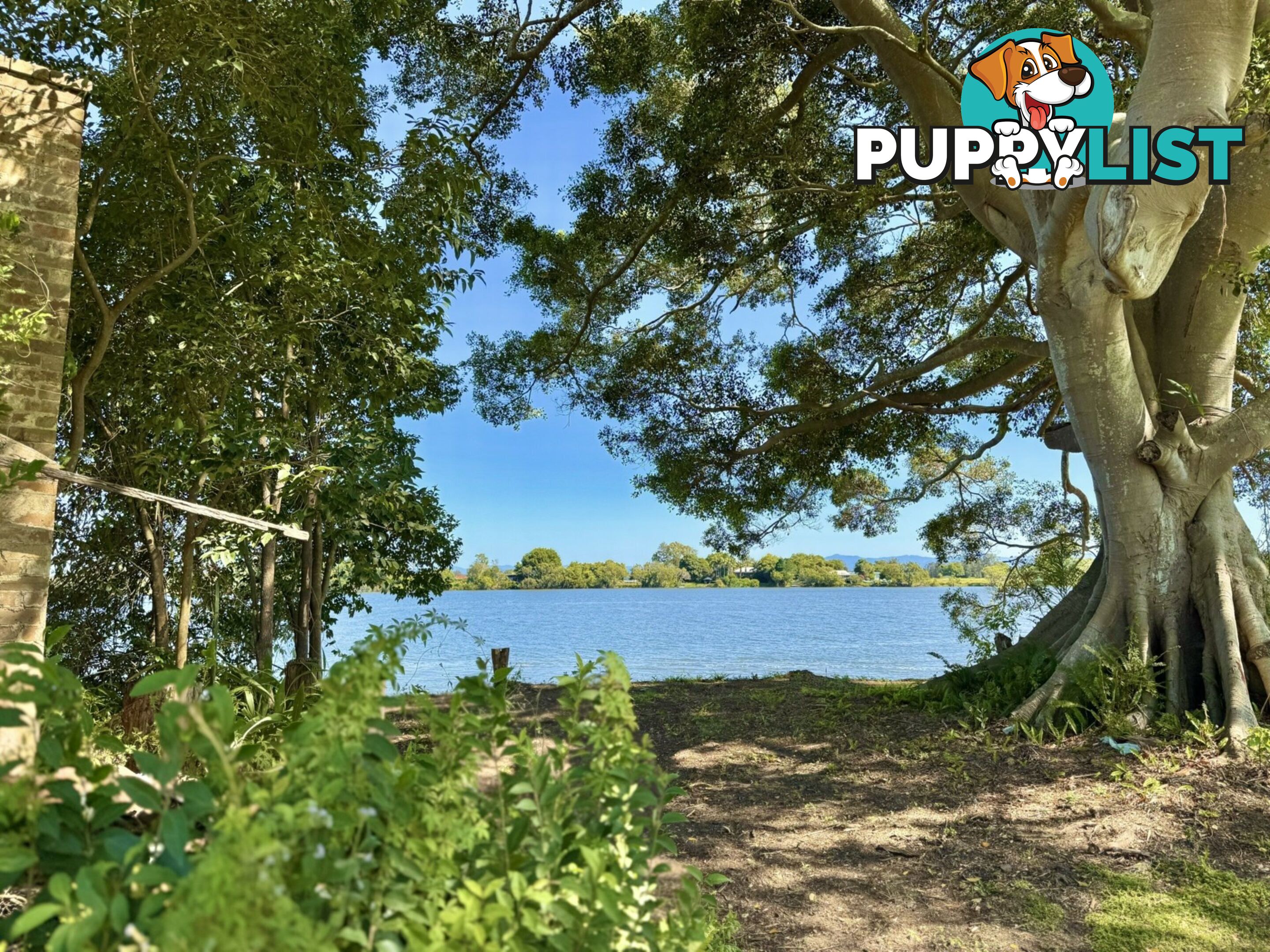 Lot 7 DP1297305 Ferry Road OXLEY ISLAND NSW 2430