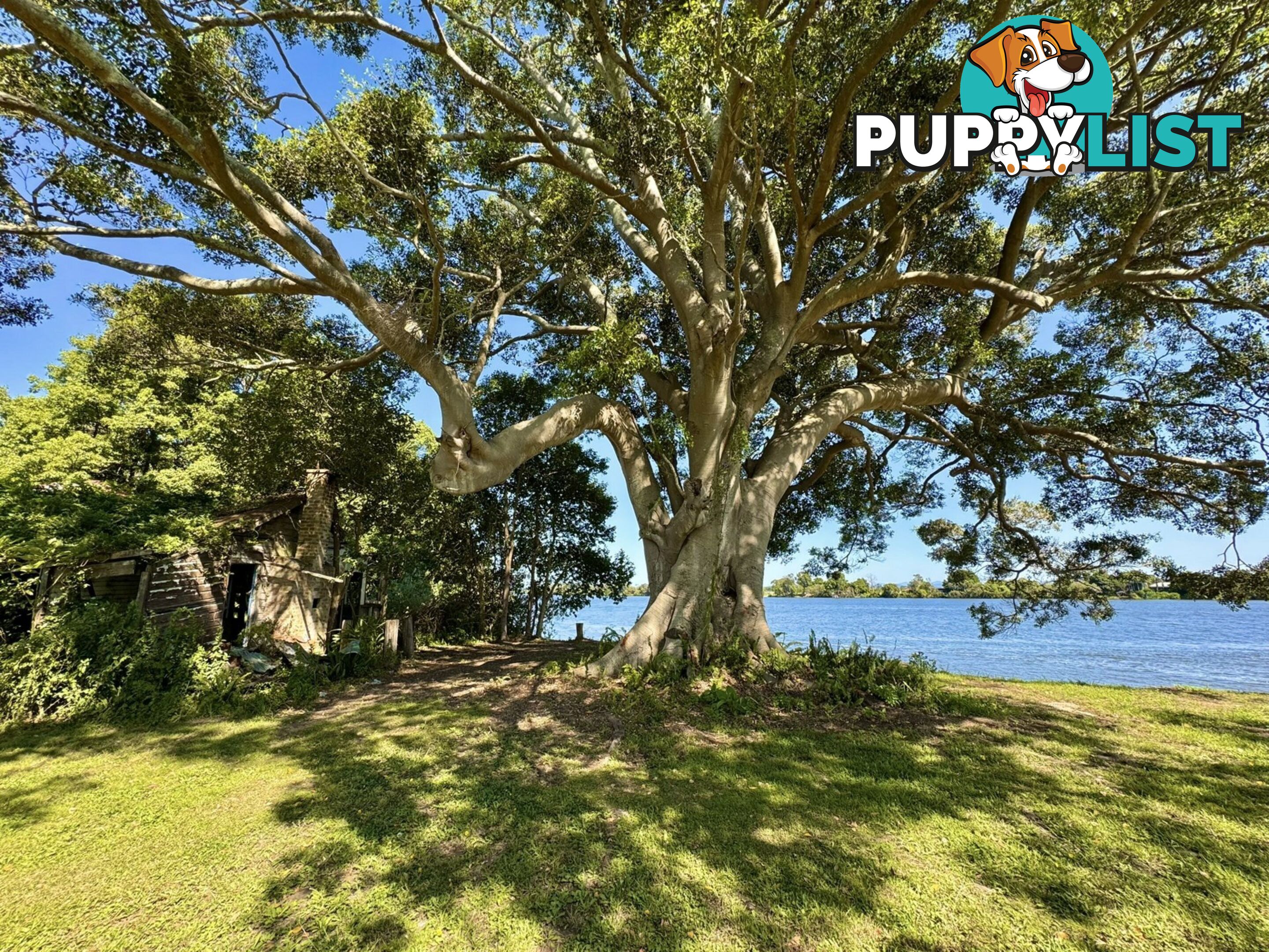Lot 7 DP1297305 Ferry Road OXLEY ISLAND NSW 2430