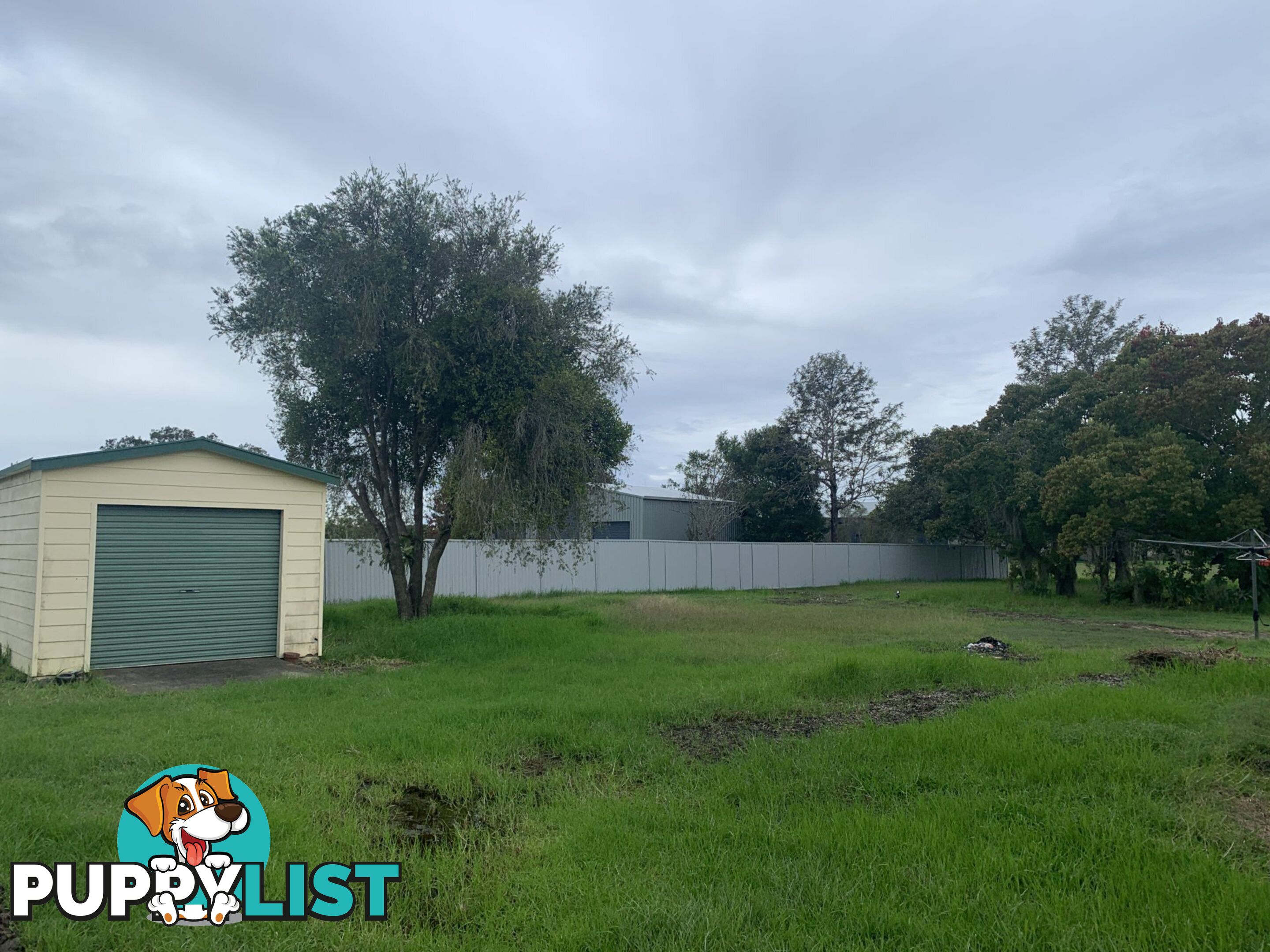 1425 Manning Point Road MITCHELLS ISLAND NSW 2430