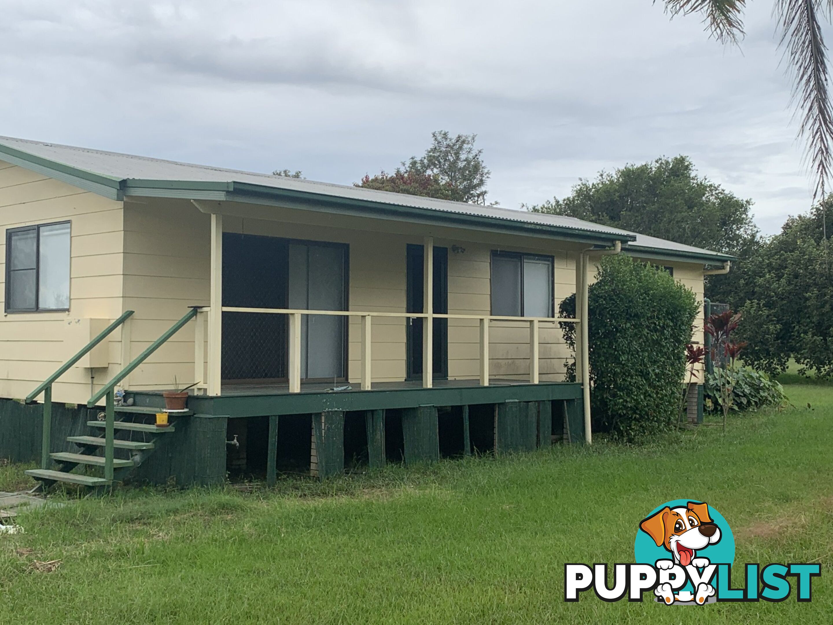 1425 Manning Point Road MITCHELLS ISLAND NSW 2430