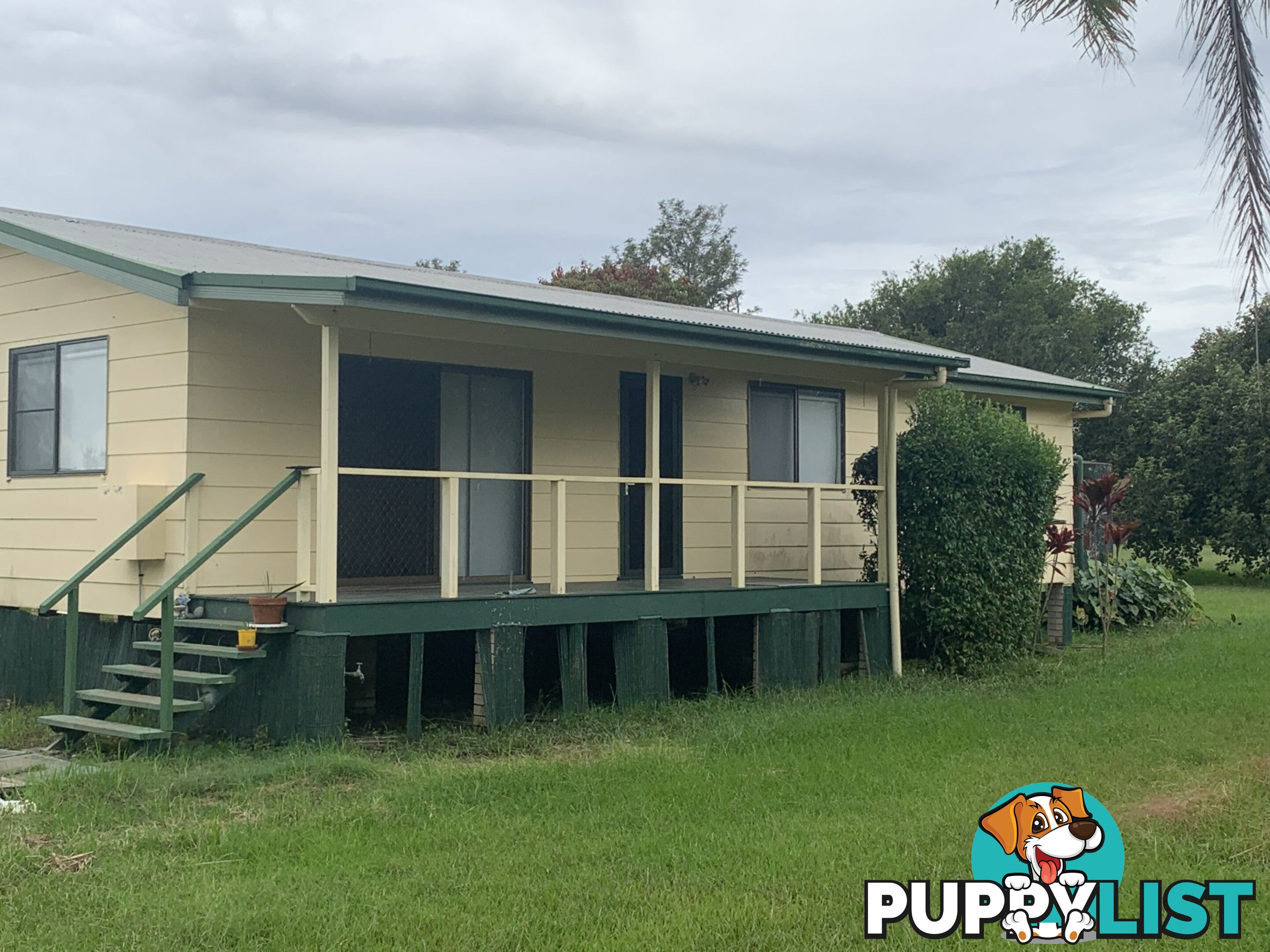 1425 Manning Point Road MITCHELLS ISLAND NSW 2430