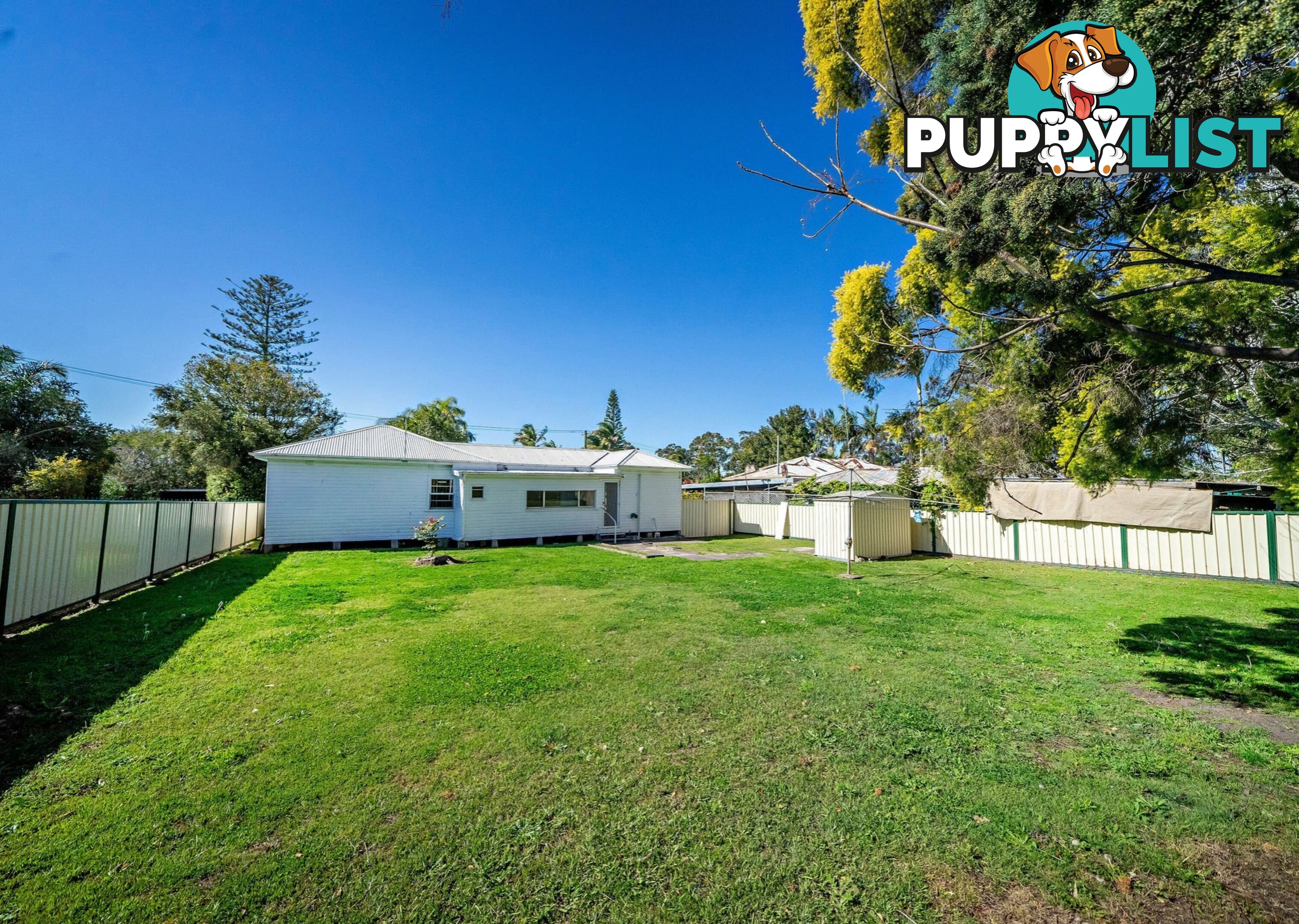 8 Nelson Street TAREE NSW 2430