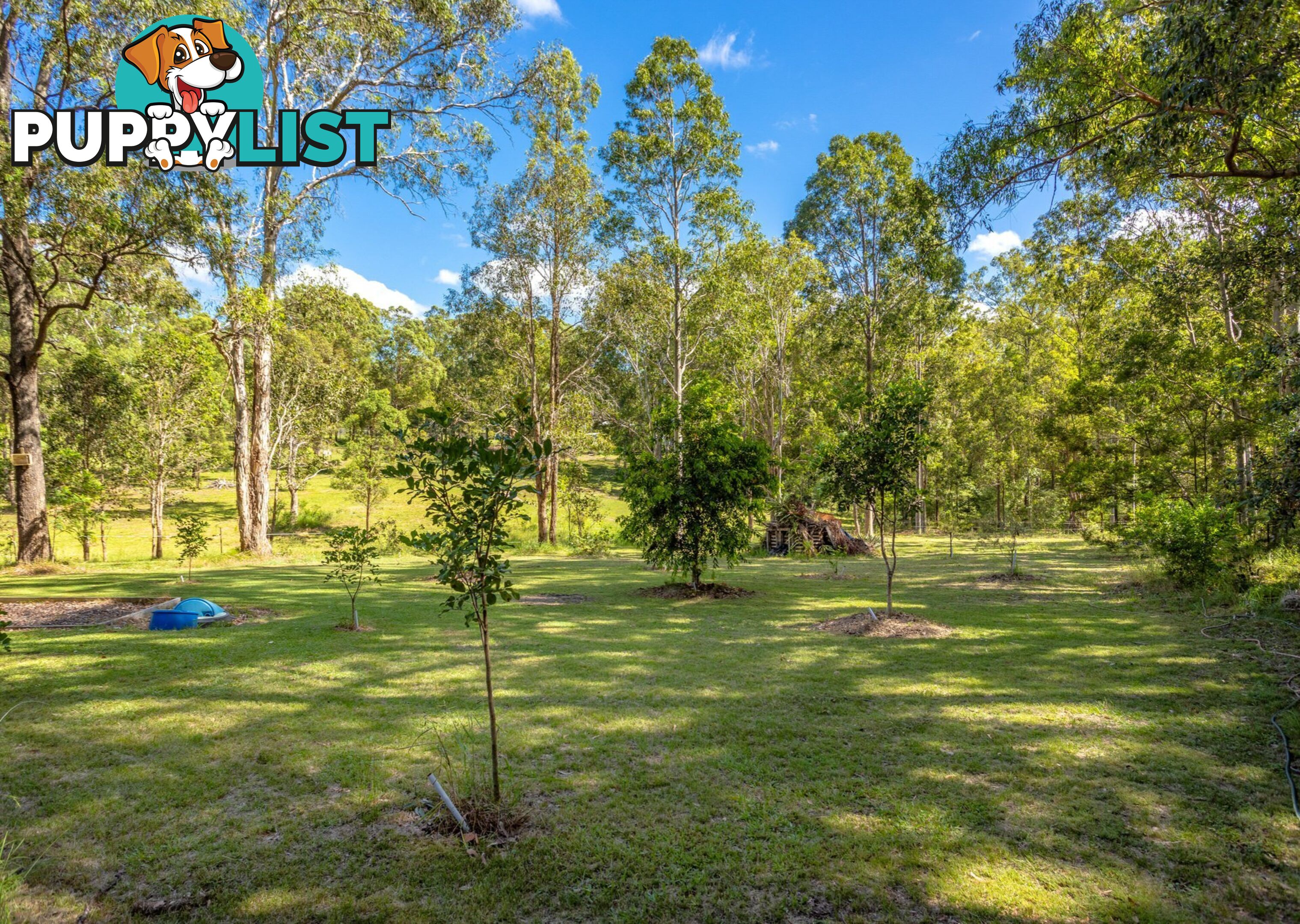 81 Beecher Street TINONEE NSW 2430