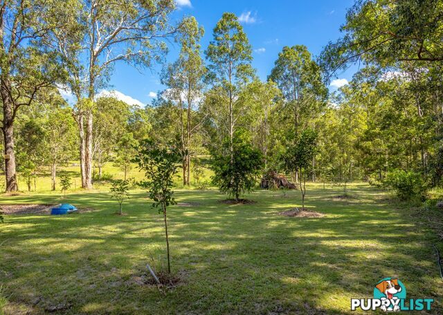 81 Beecher Street TINONEE NSW 2430