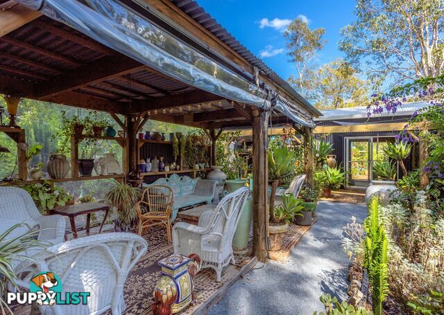 81 Beecher Street TINONEE NSW 2430