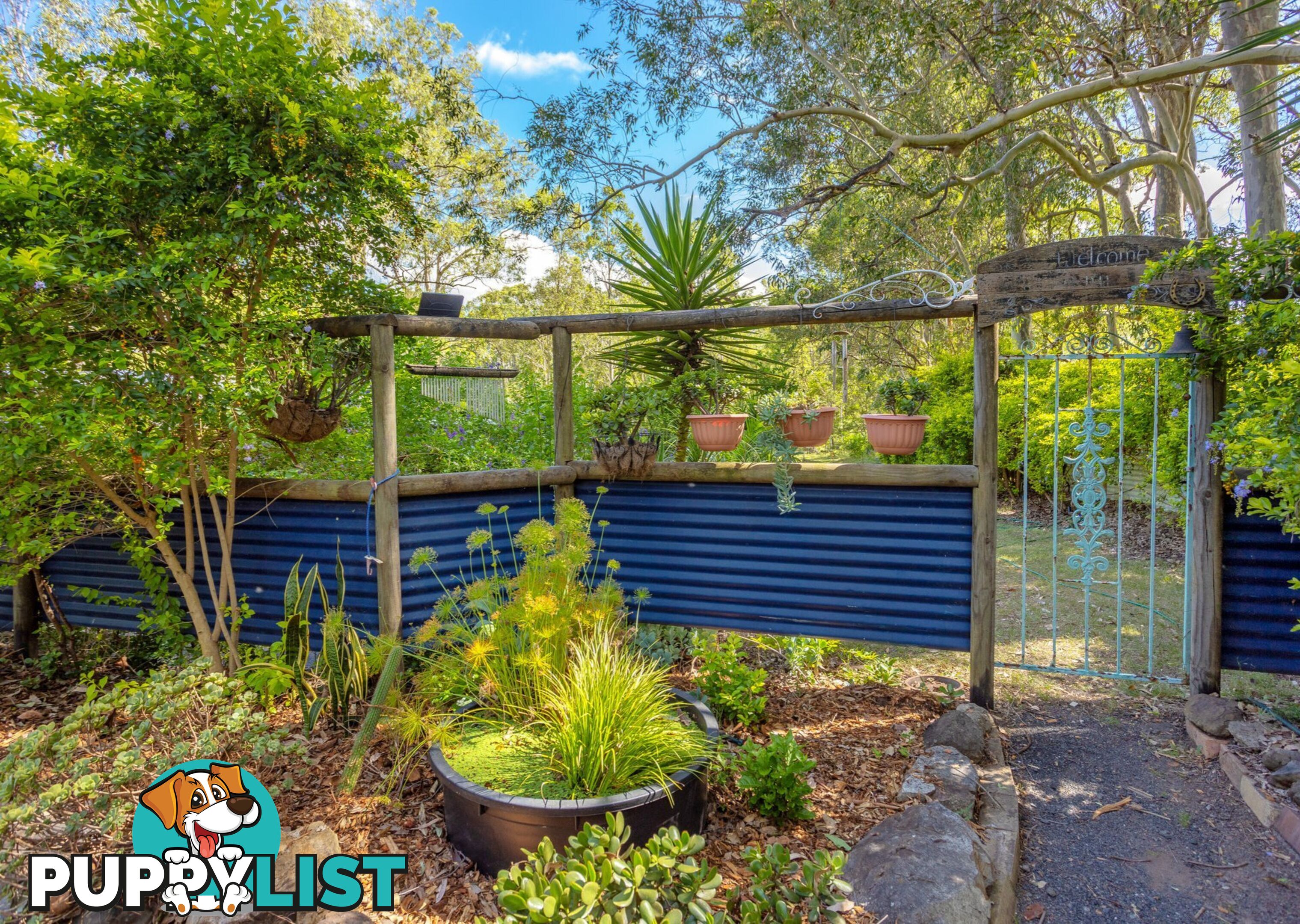 81 Beecher Street TINONEE NSW 2430