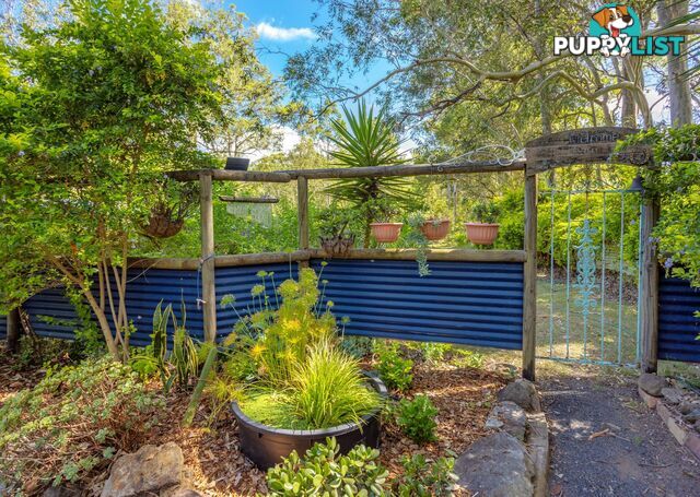 81 Beecher Street TINONEE NSW 2430